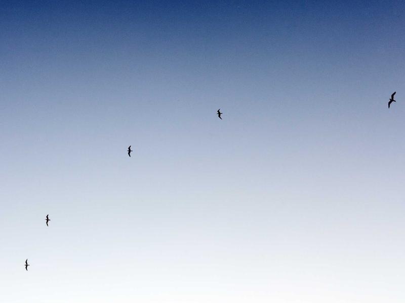 屏幕使用时间锁定<br>导致无法退出ID修复教程